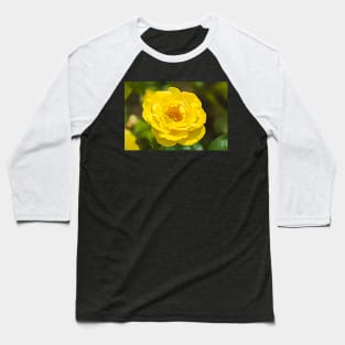 Walking On Sunshine Rose Baseball T-Shirt